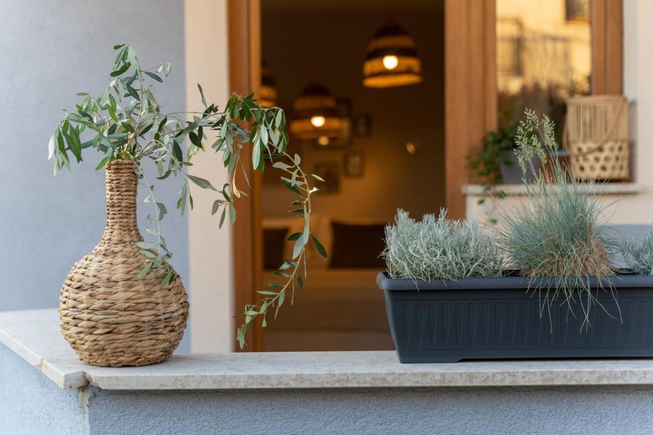 Apartments Alloro By Seeadria Agency Novigrad Istria Buitenkant foto