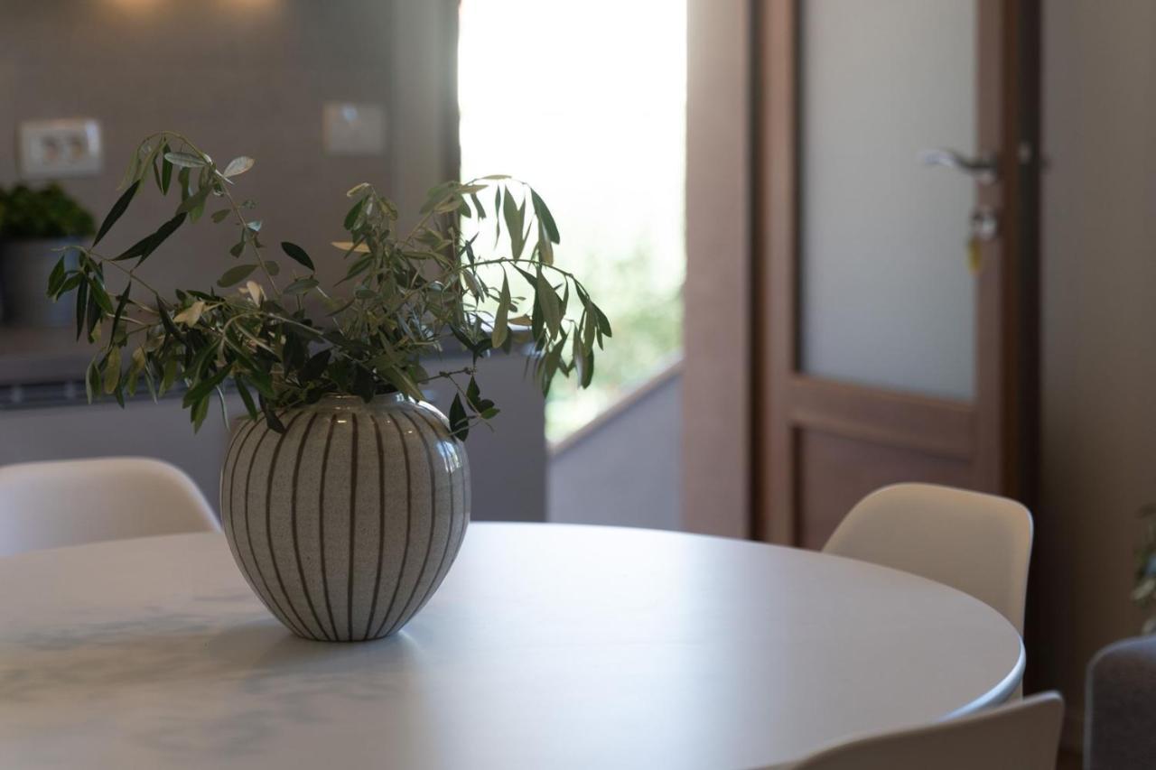 Apartments Alloro By Seeadria Agency Novigrad Istria Buitenkant foto